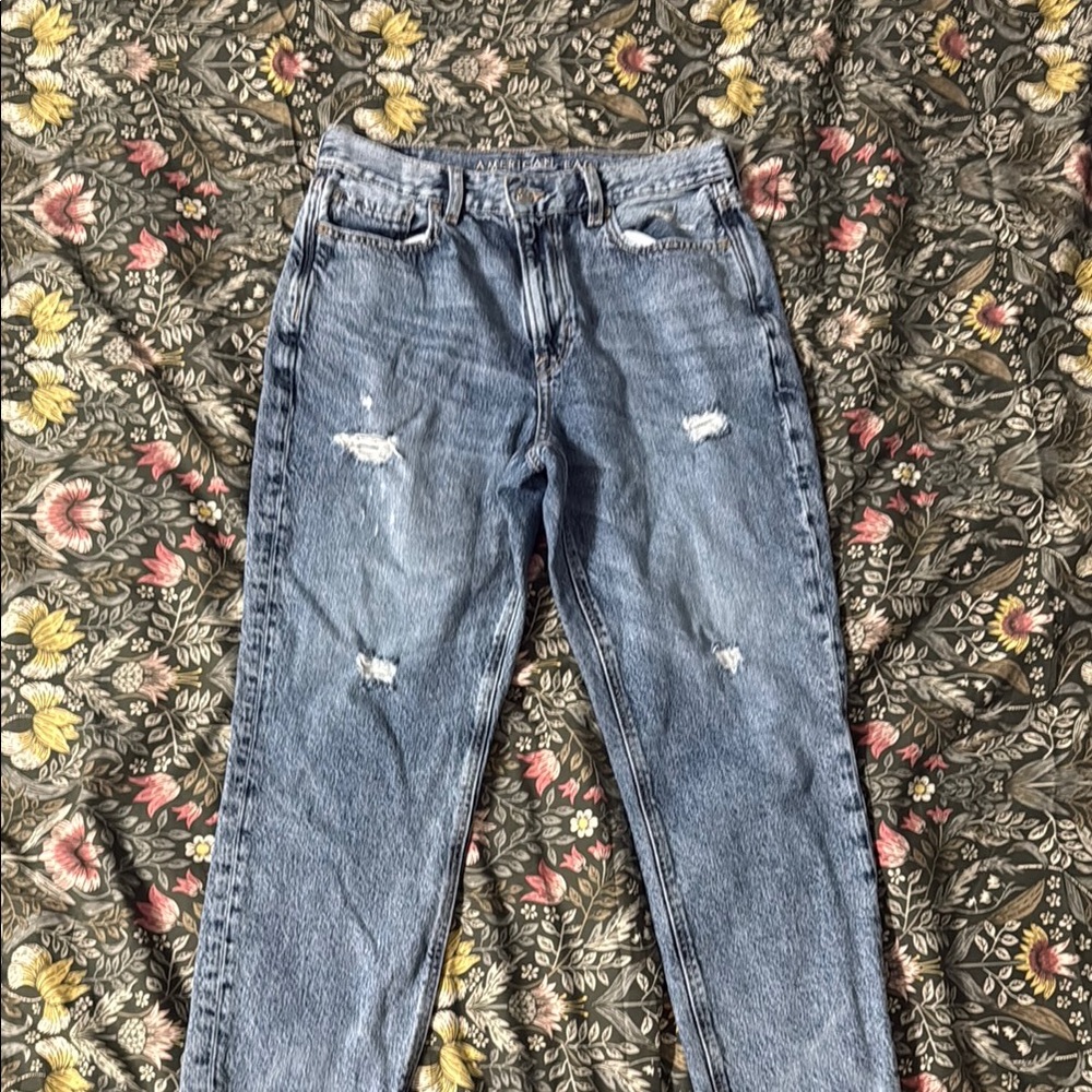 American Eagle Outfitters Blue Cropped Ankle Jeans
